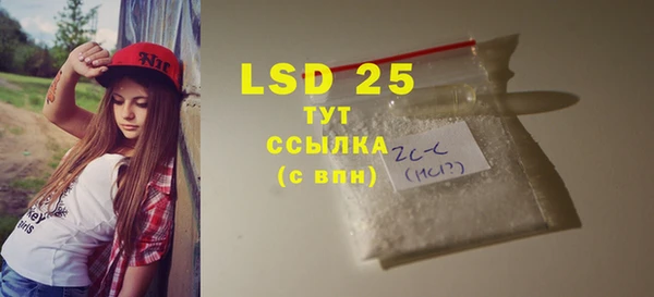 стафф Аркадак