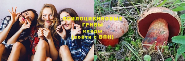 а пвп мука Липки
