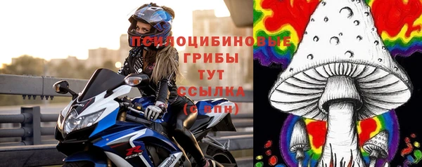 стафф Аркадак