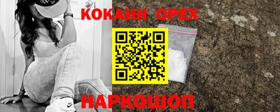 соль ск Бийск