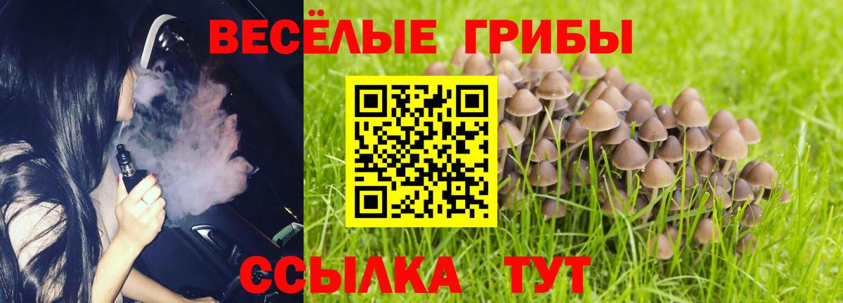 Балашиха  Псилоцибиновые грибы Cubensis  Вход с VPN  Псилоцибиновые грибы Cubensis 