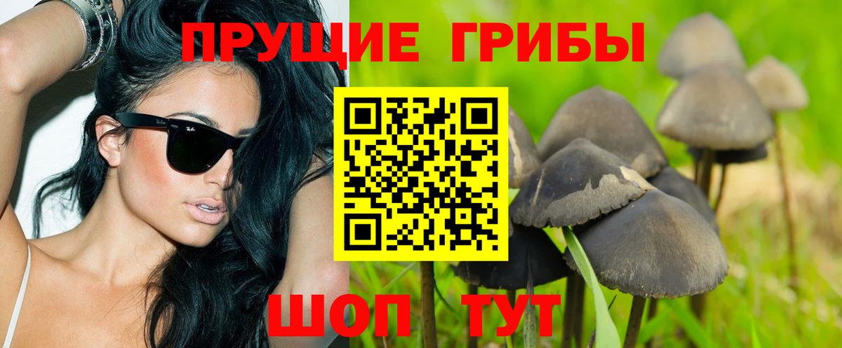 Псилоцибиновые грибы прущие грибы Балашиха